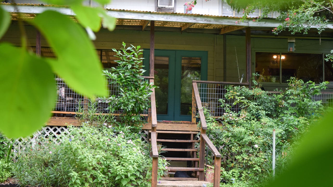 Photo of Outdoor in Rio Vista