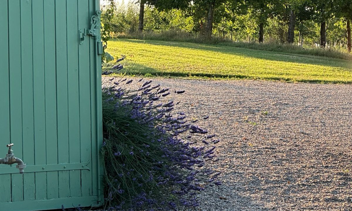 Photo of Outdoor in Monteton