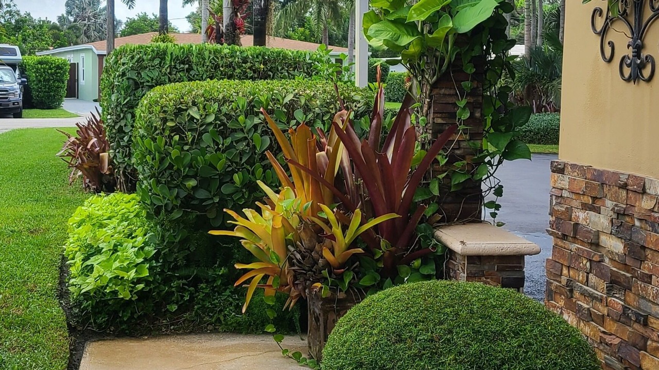 Photo of Others in Fort Lauderdale