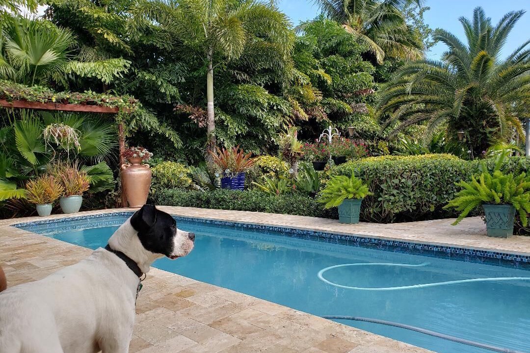 Photo of Others in Fort Lauderdale