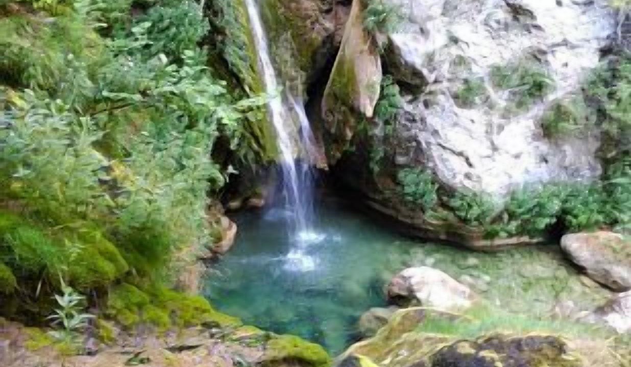Photo of Outdoor in Amescoa Baja