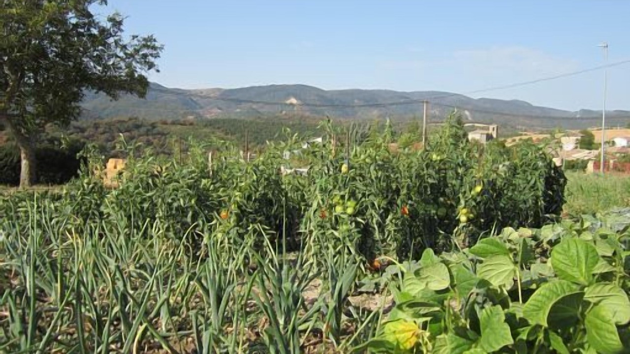 Photo of Outdoor in Amescoa Baja