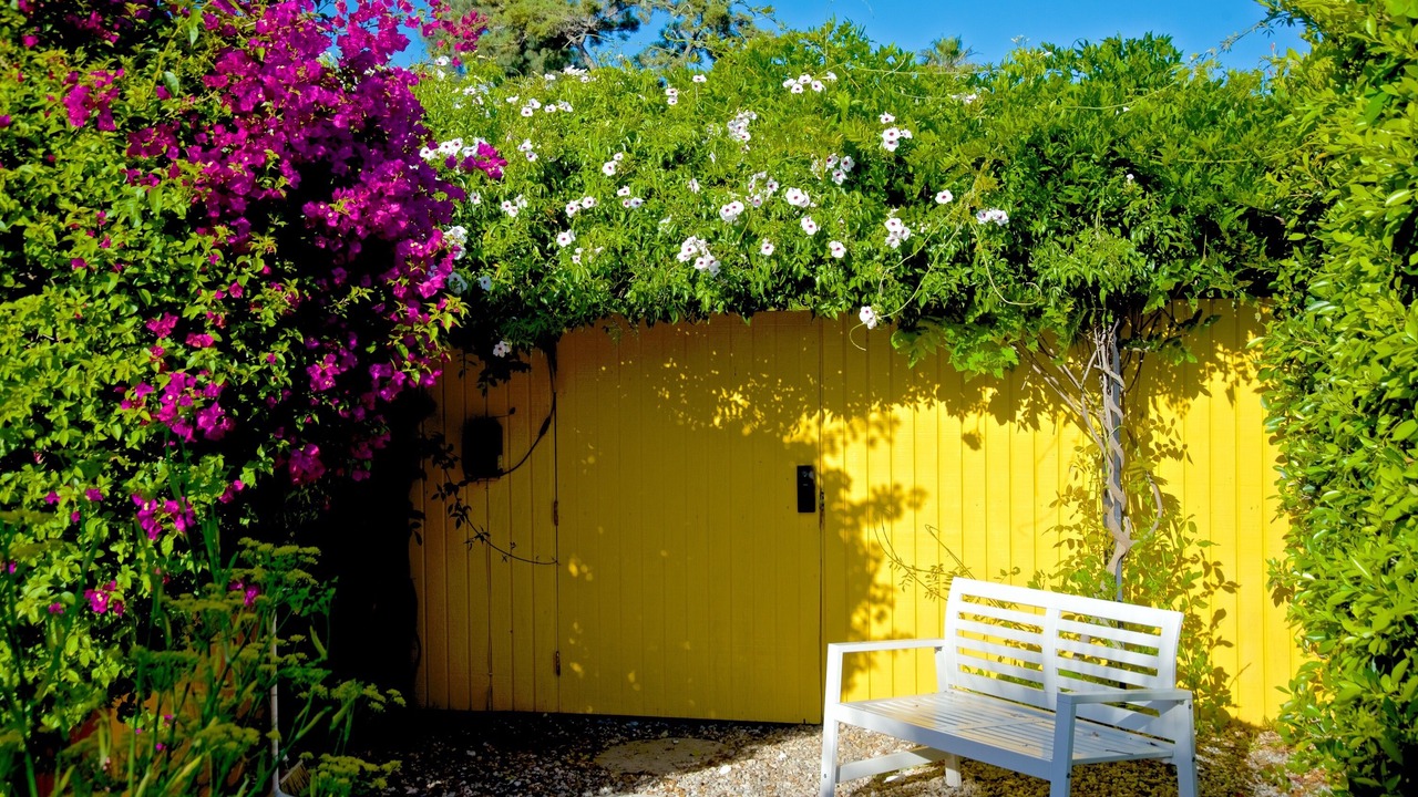 Photo of Outdoor in Hollywood Hills