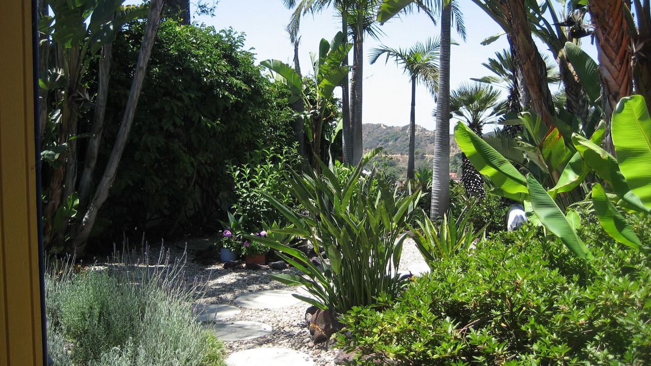 Photo of Outdoor in Hollywood Hills