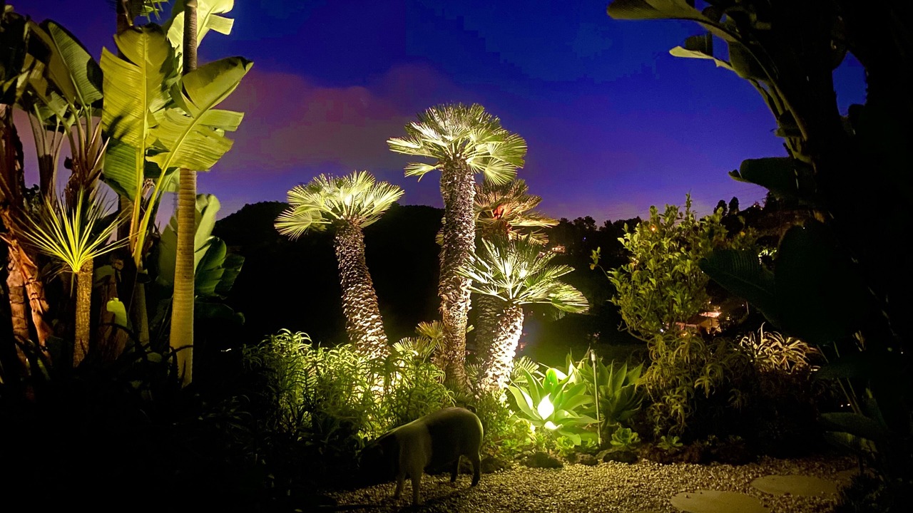 Photo of Bedroom in Hollywood Hills