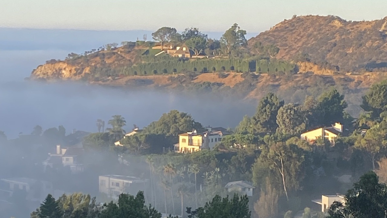 Photo of Others in Hollywood Hills