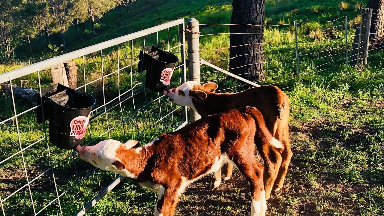 Photo of Others in Bowman Farm