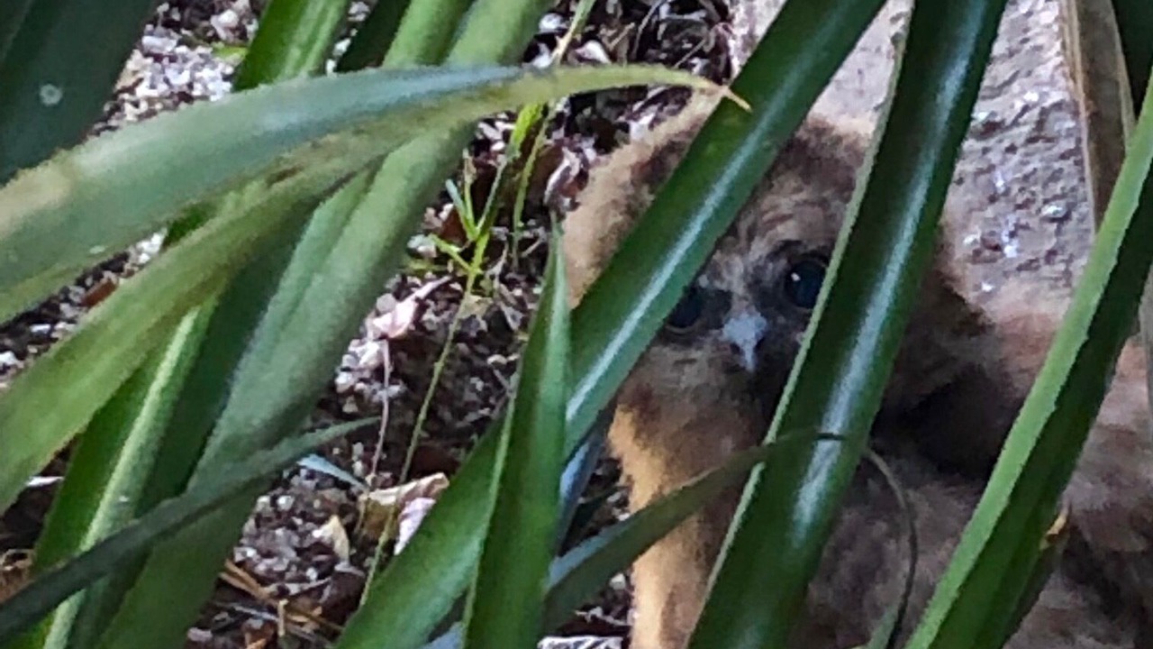 Photo of Outdoor in Bowman Farm