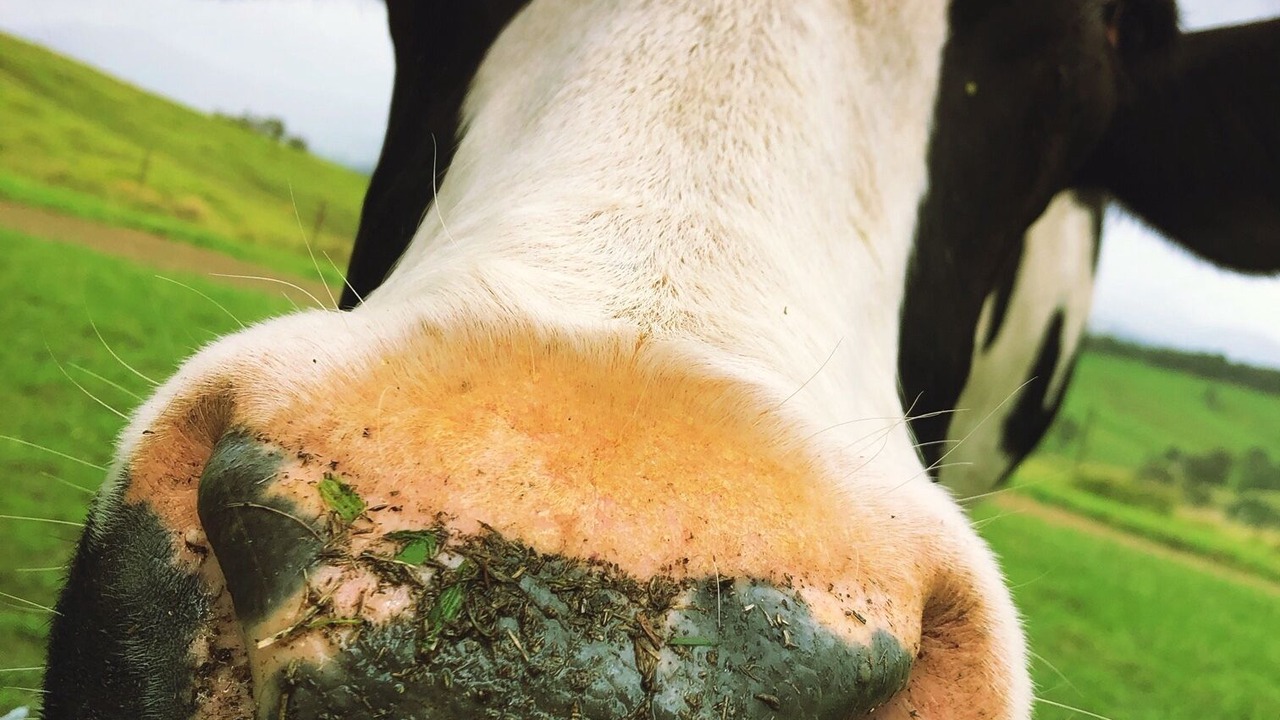 Photo of Others in Bowman Farm