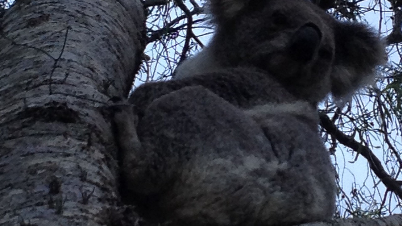 Photo of Outdoor in Bowman Farm