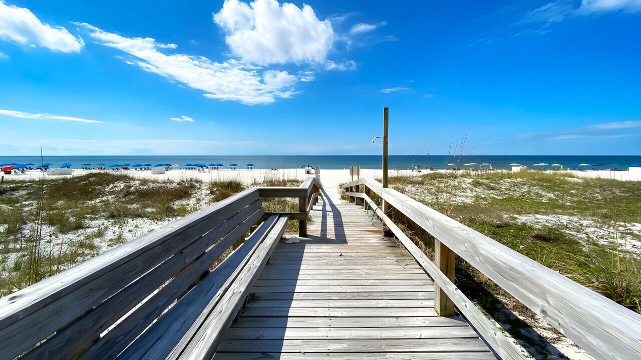 Photo of Others in Orange Beach