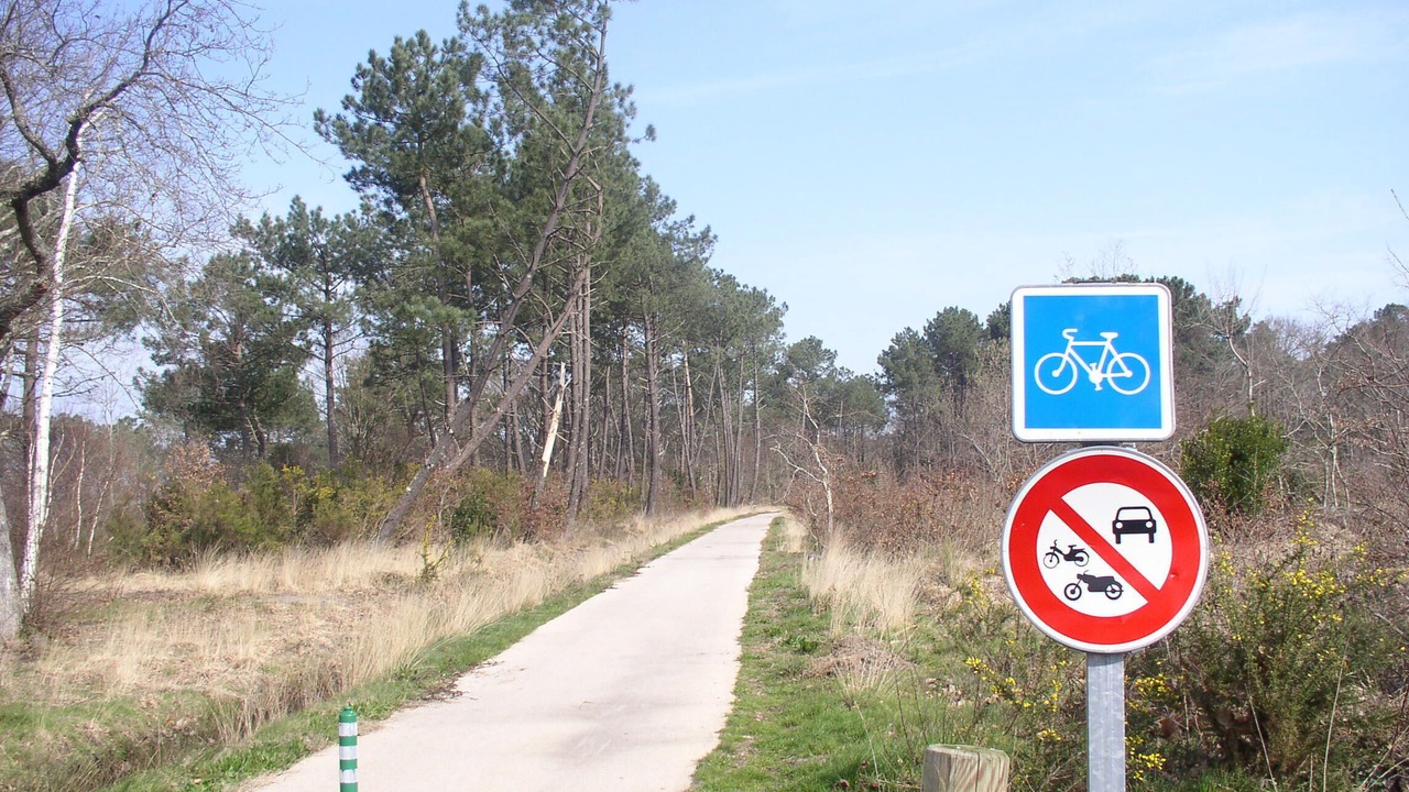 Photo of Outdoor in Sainte-Eulalie-en-Born