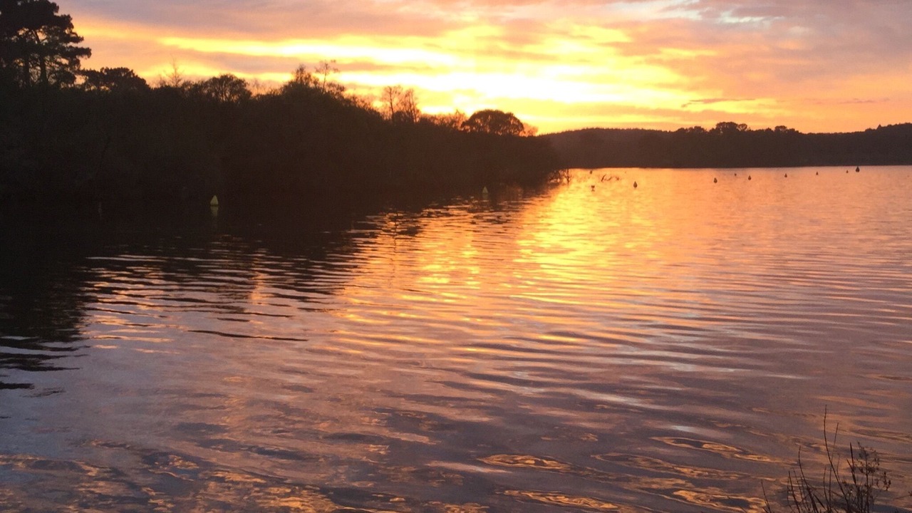Photo of Others in Sainte-Eulalie-en-Born