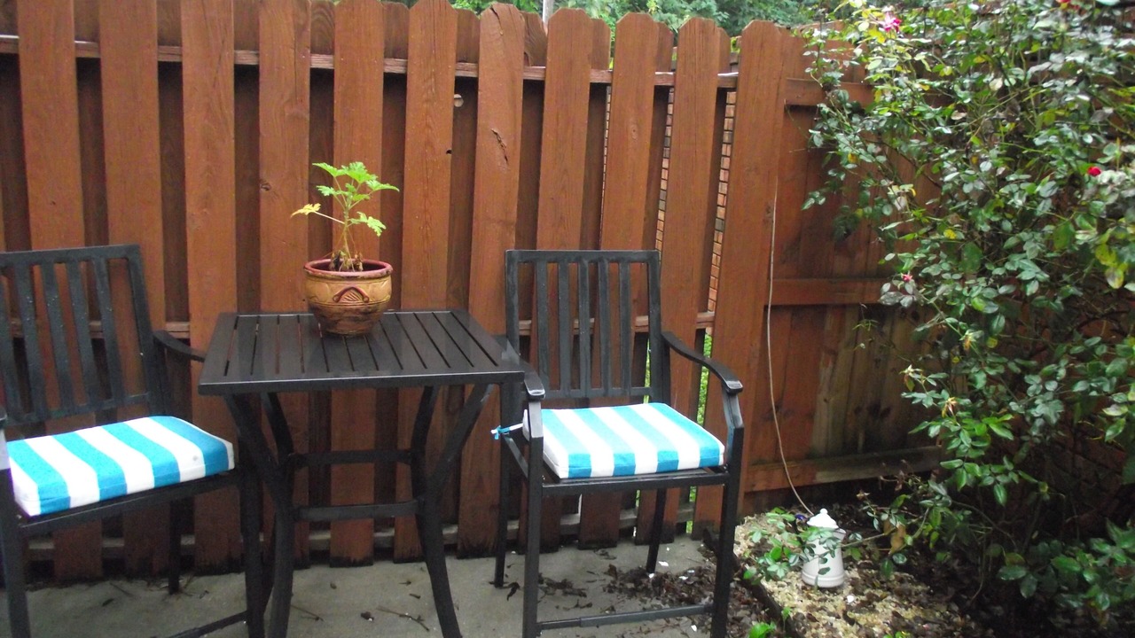 Photo of Outdoor in Forest Hills