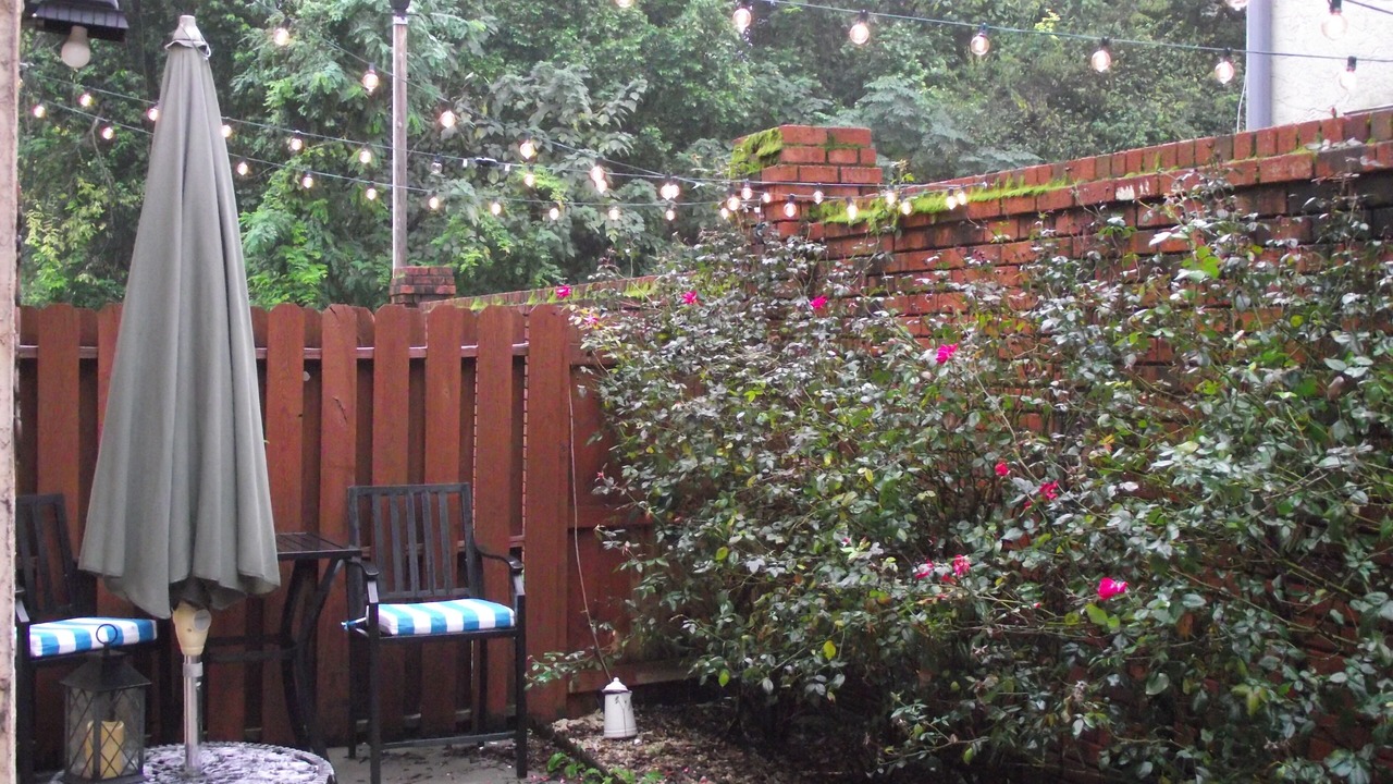 Photo of Patio Balcony in Forest Hills