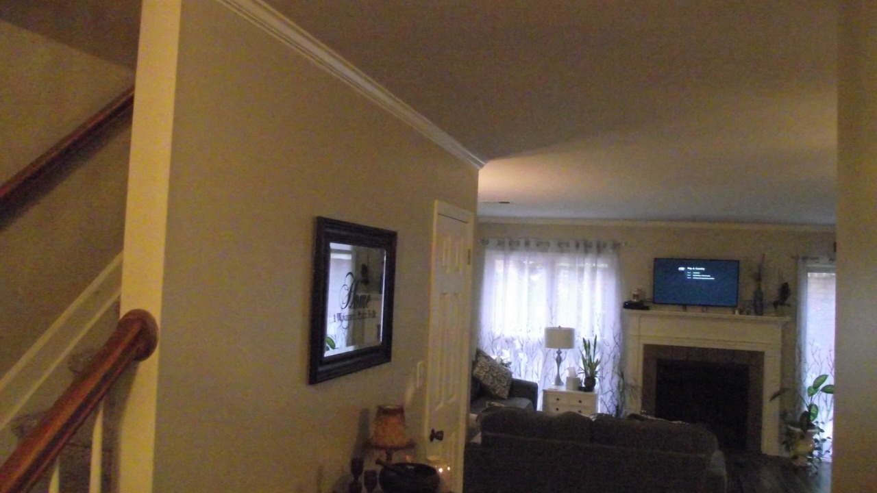 Photo of Others in Forest Hills