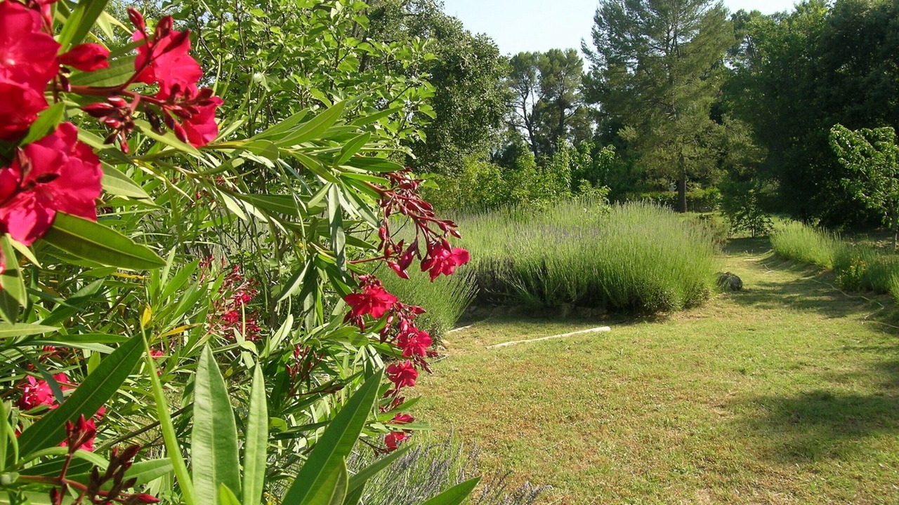 Photo of Outdoor in Lorgues