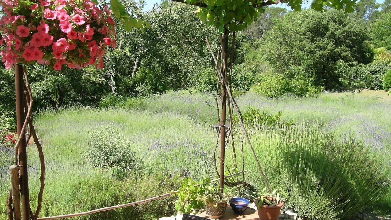 Photo of Outdoor in Lorgues