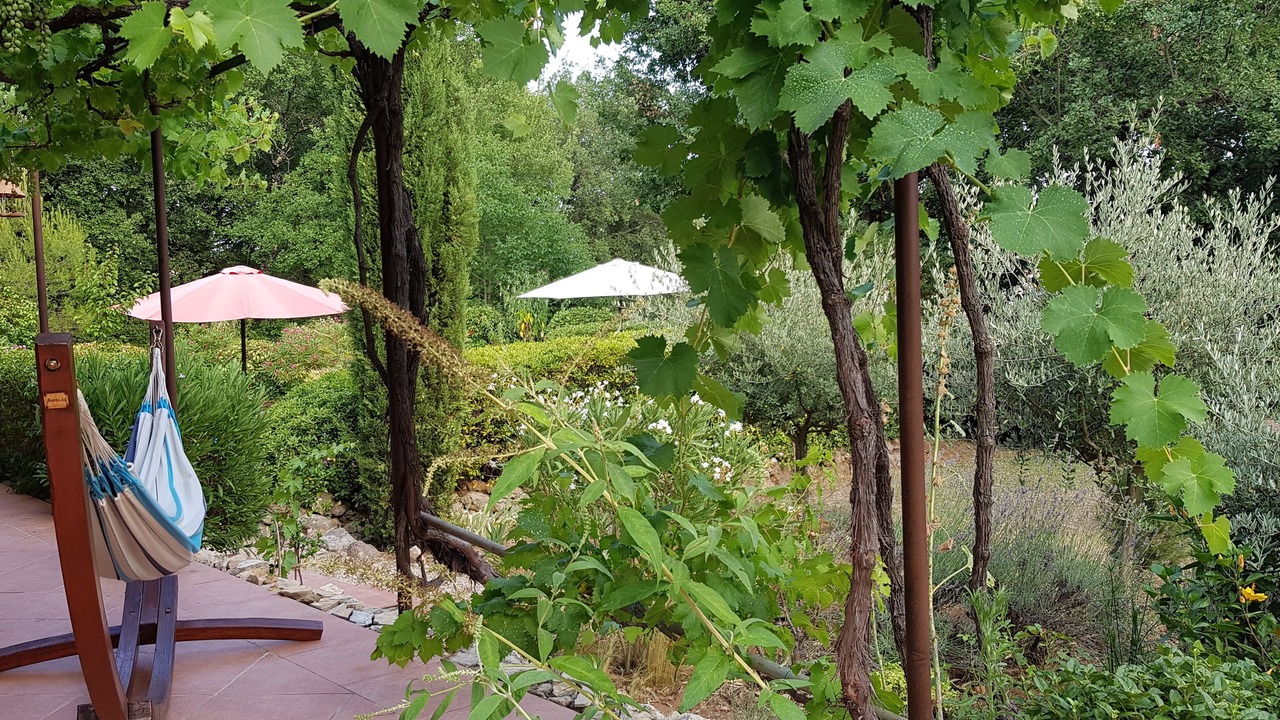 Photo of Outdoor in Lorgues