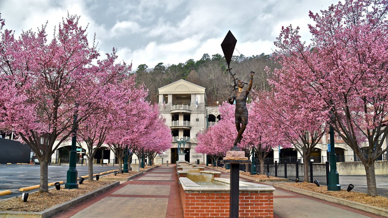 Photo of Outdoor in Lake Hamilton