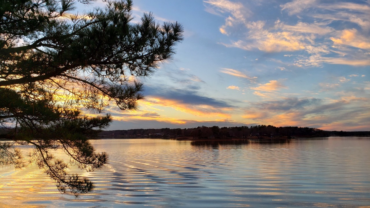 Photo of Others in Lake Hamilton