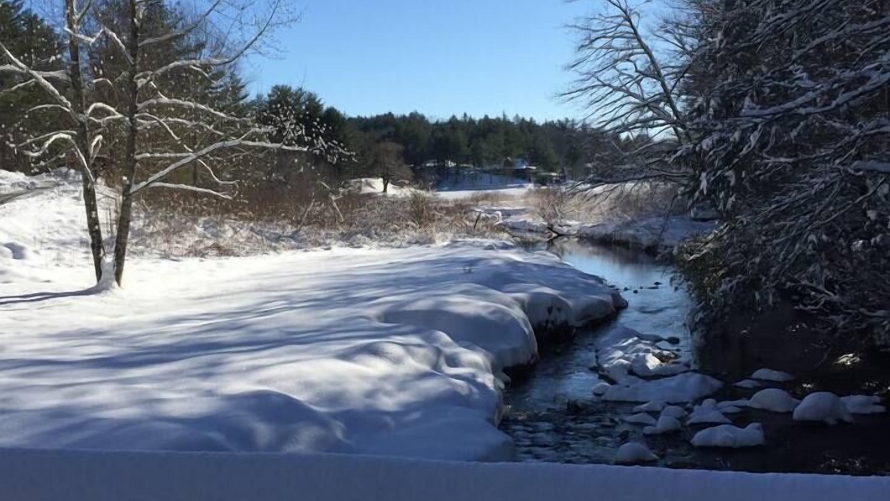 Photo of Others in West Jefferson