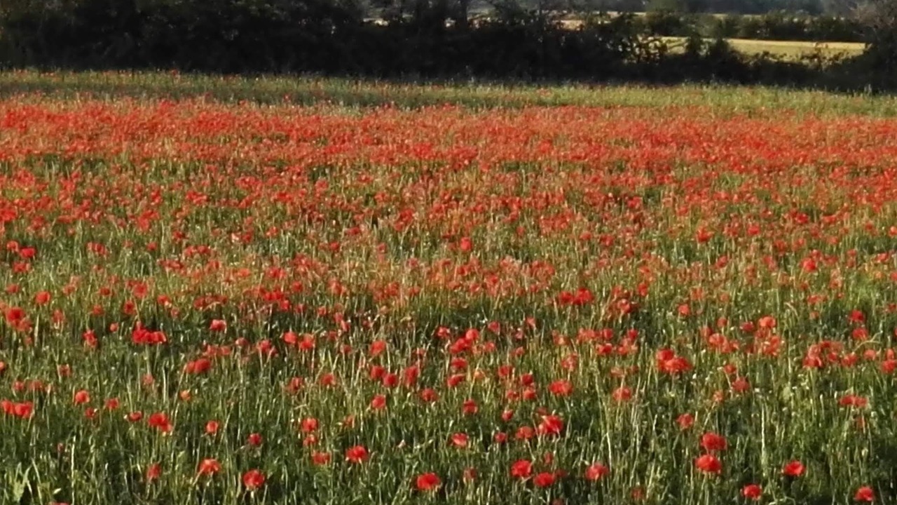 Photo of Outdoor in Vilacolum