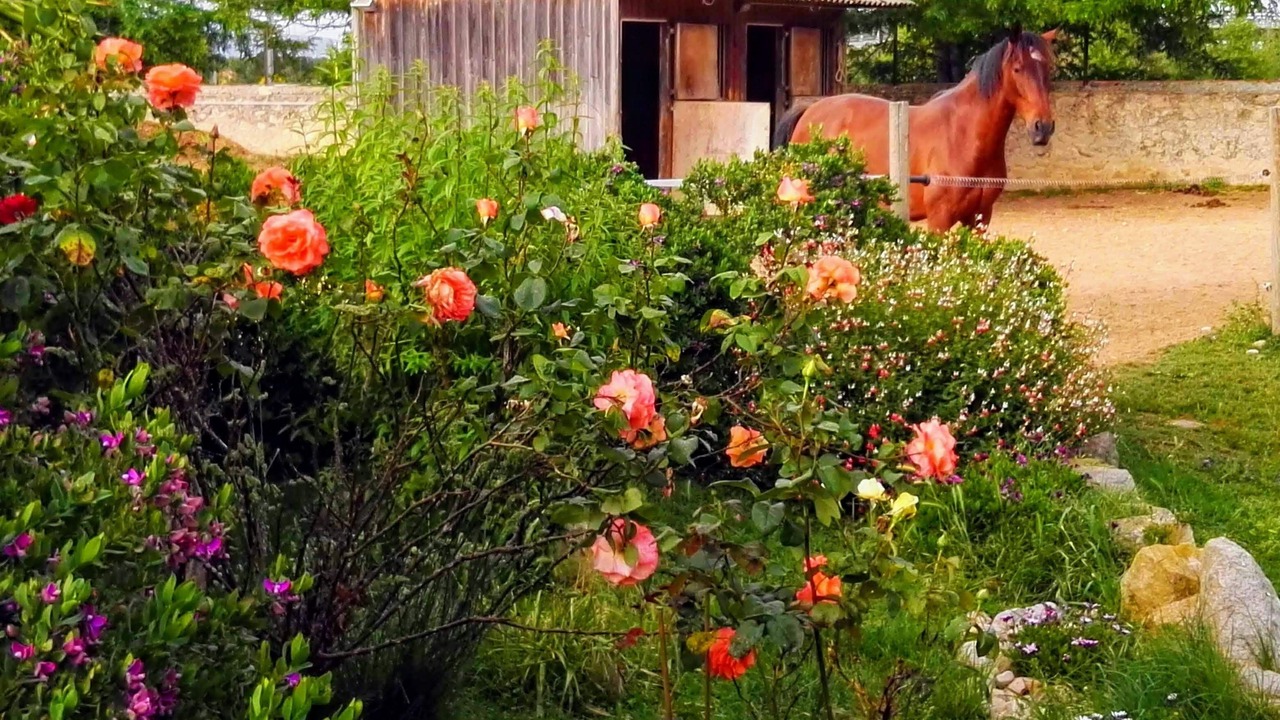 Photo of Outdoor in Vilacolum