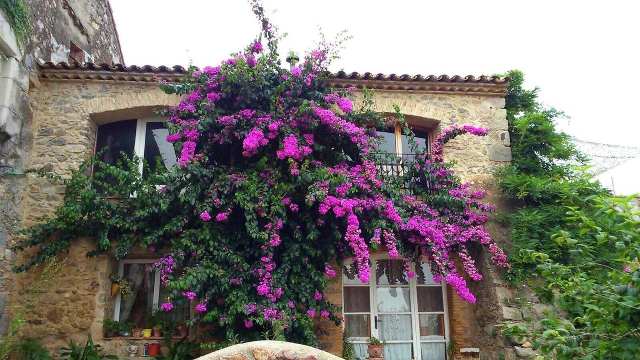 Photo of Outdoor in Vilacolum