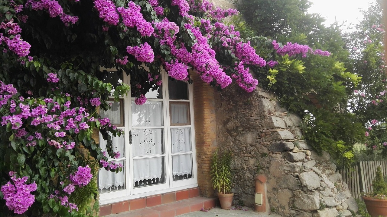 Photo of Outdoor in Vilacolum