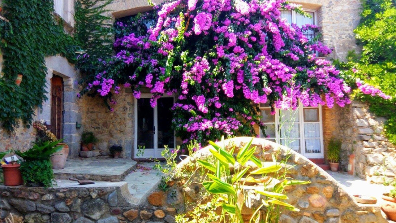 Photo of Outdoor in Vilacolum