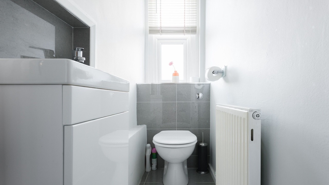 Photo of Others in Euston