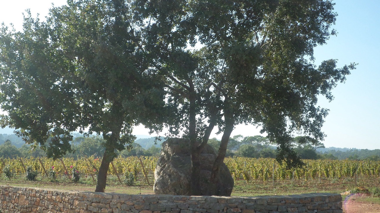 Photo of Outdoor in Lorgues