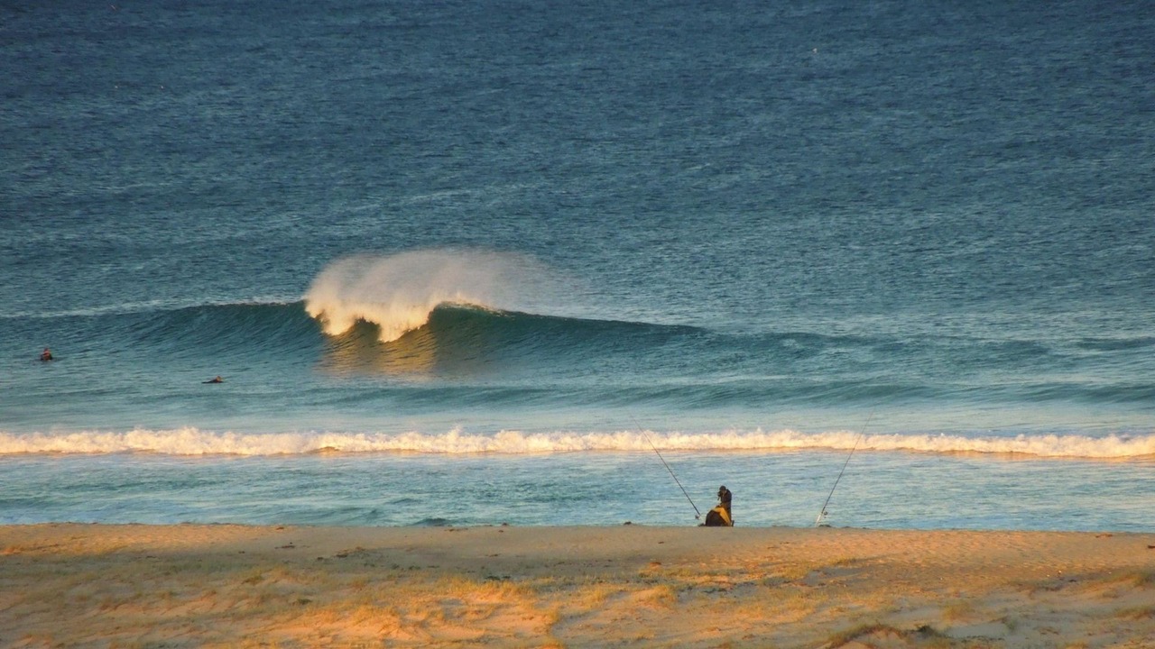 Photo of Others in The Entrance