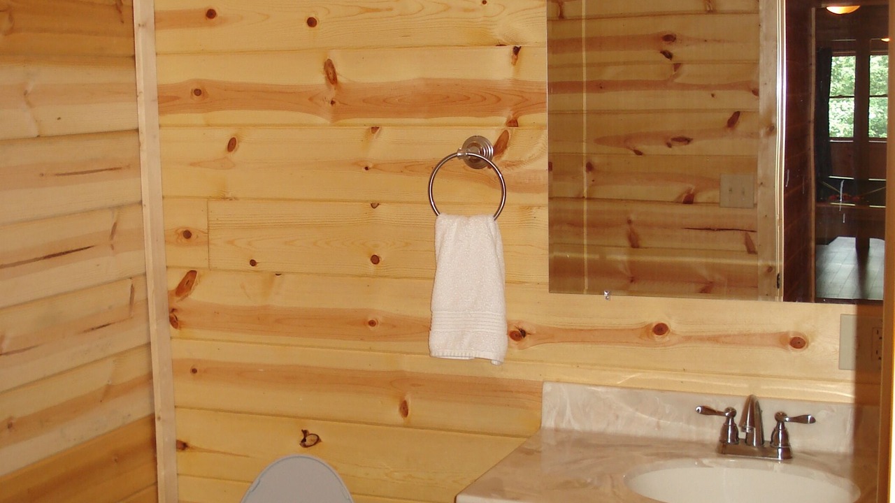 Photo of Bathroom in Shenandoah