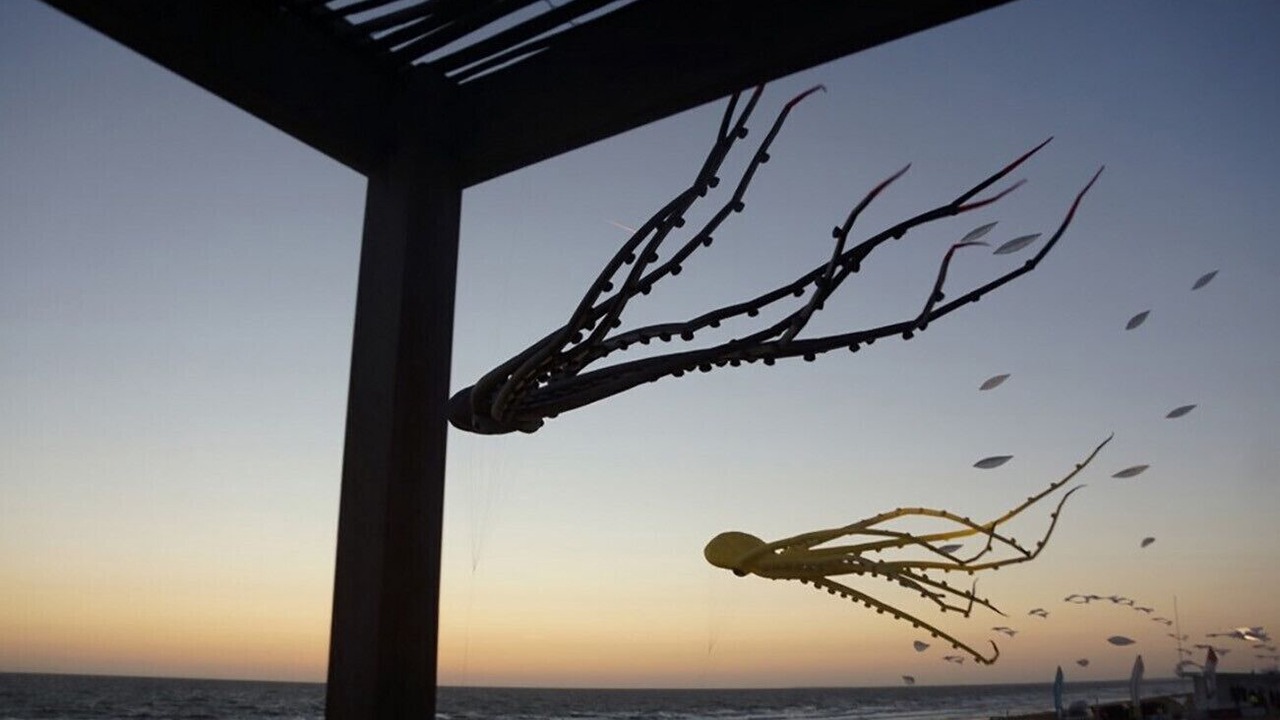 Photo of Others in Notre-Dame-de-Monts