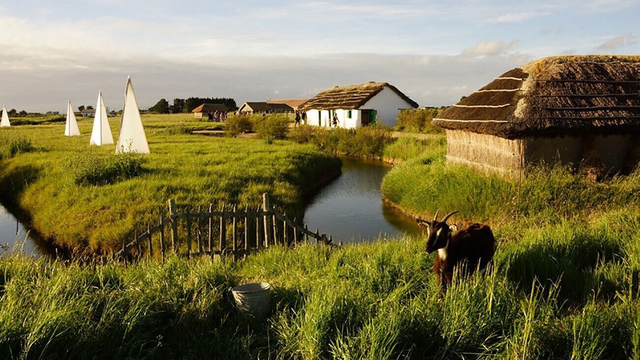 Photo of Outdoor in Notre-Dame-de-Monts