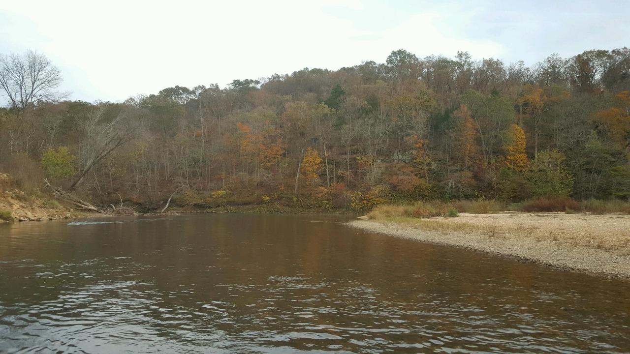 Photo of Others in Steelville