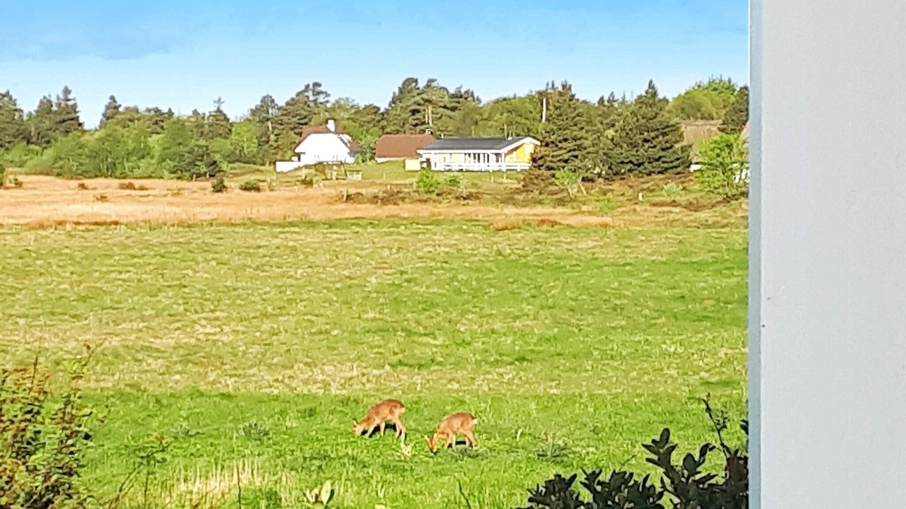 Photo of Others in Kongsmark