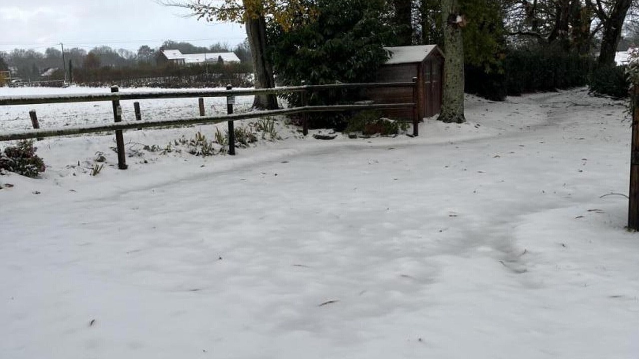 Photo of Others in Beauchamps