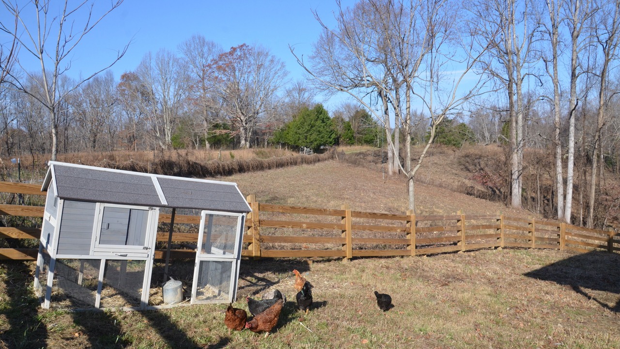 Photo of Outdoor in Gainesboro