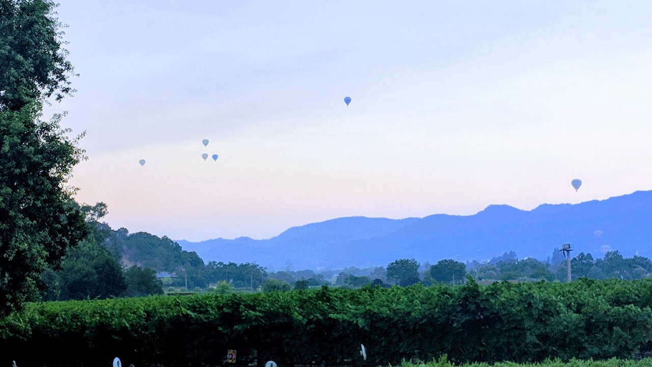 Photo of Others in Yountville