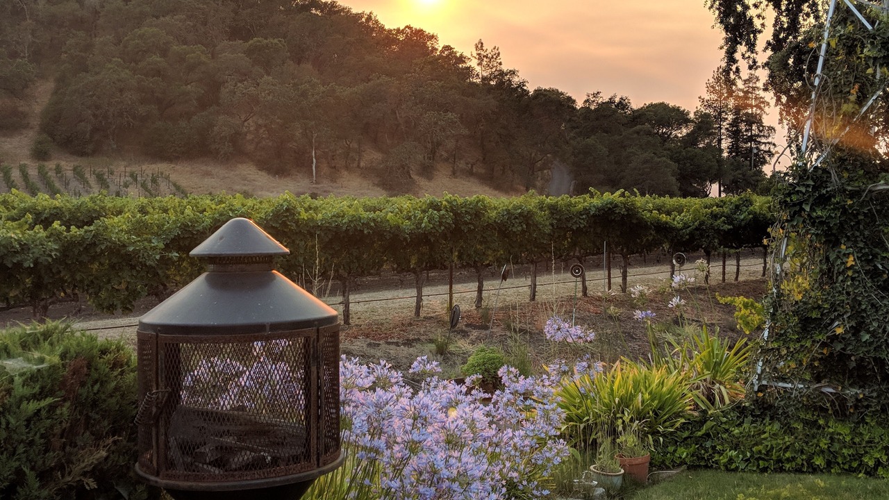 Photo of Outdoor in Yountville