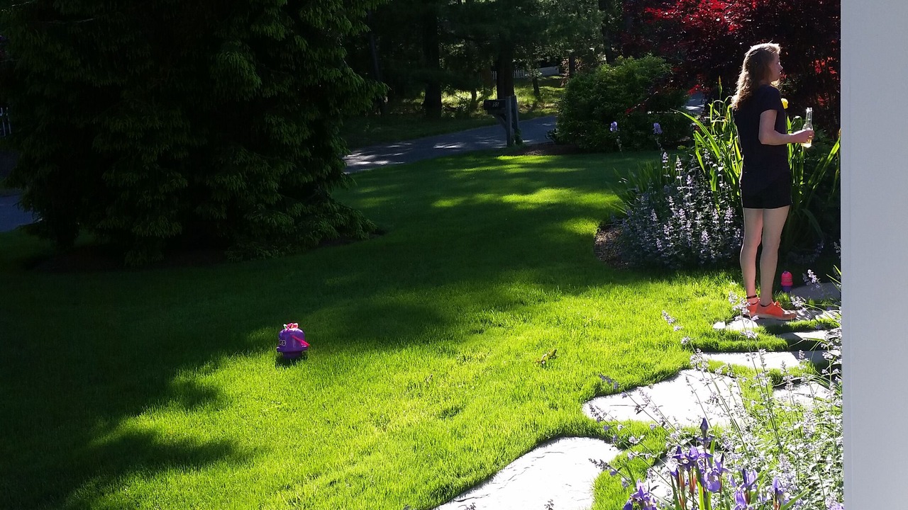 Photo of Outdoor in Wianno