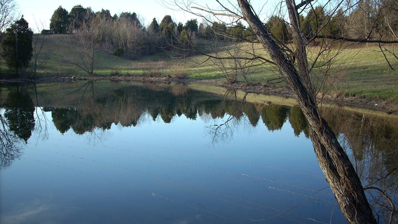 Photo of Outdoor in Mount Juliet