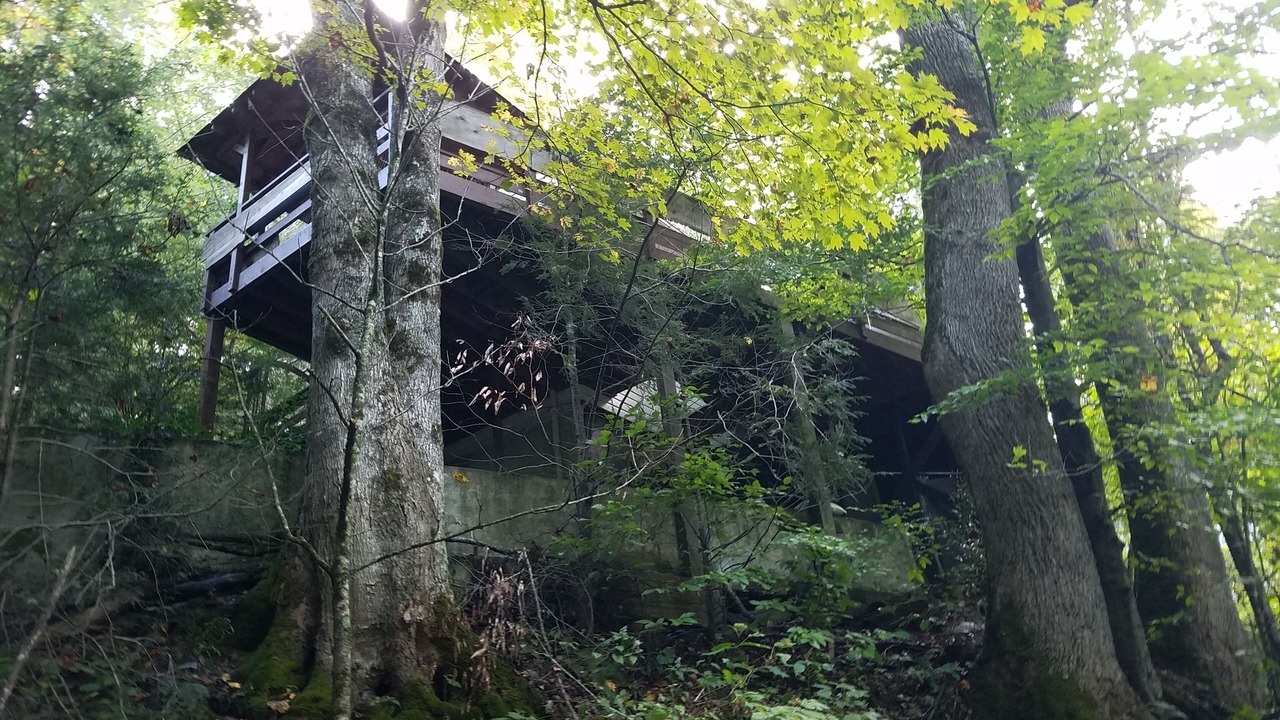 Photo of Others in Cattail Creek