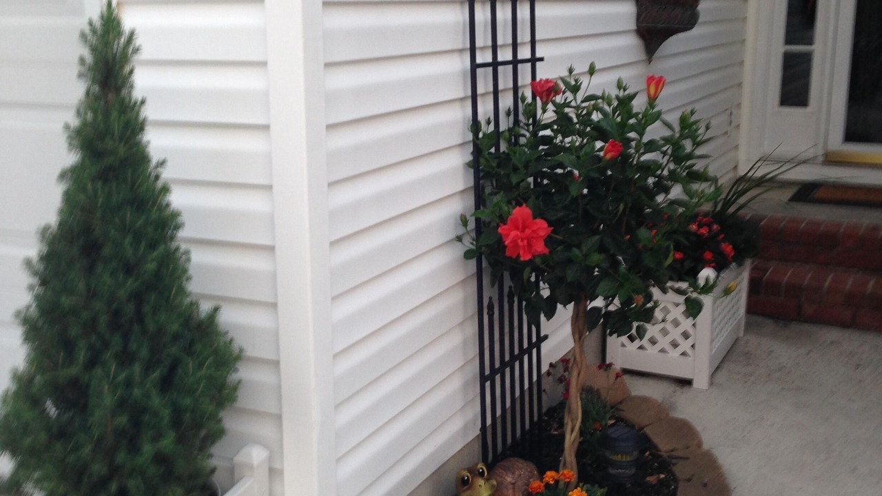 Photo of Outdoor in Evans