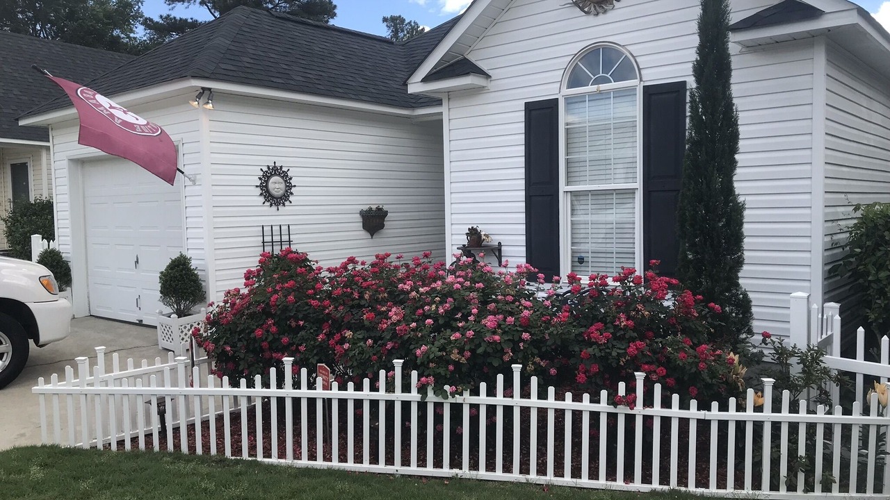 Photo of Others in Evans