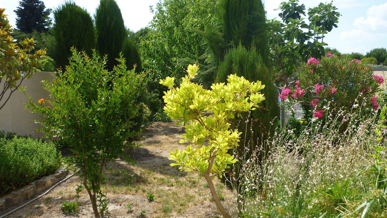 Photo of Outdoor in Lezignan-Corbieres