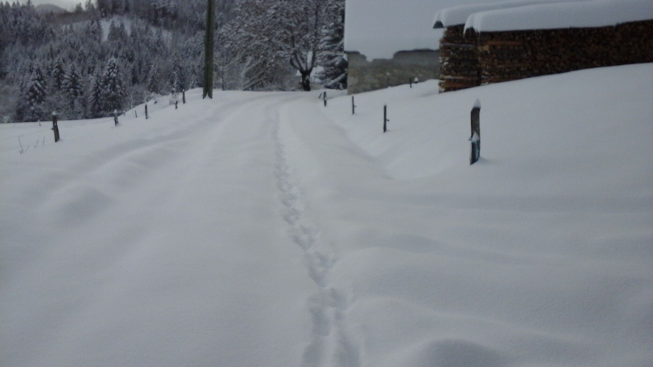 Photo of Others in Chaparon